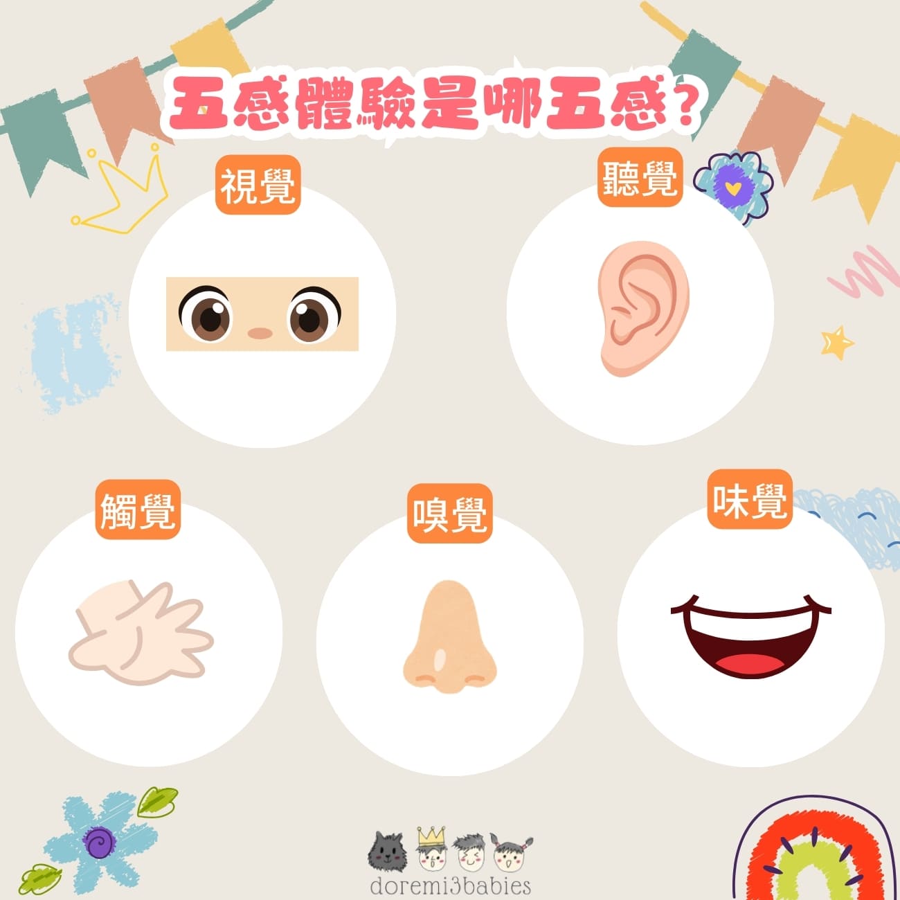 五感體驗是哪五感？